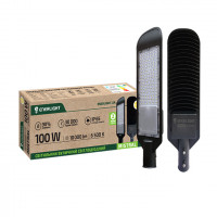 Светильник уличный светодиодный Enerlight MISTRAL 100Вт 6500К 3861