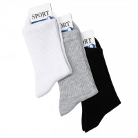 Носки мужские ассорти 42-45р. (10шт) 705-MIX