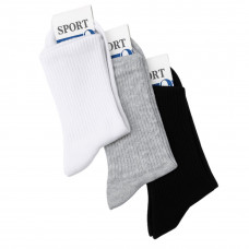 Носки мужские ассорти 42-45р. (10шт) 705-MIX