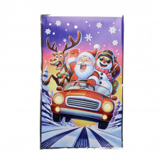 Пакет поліпропіленовий 25/40 Дід мороз з оленями (100шт)