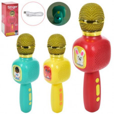 Мікрофон FDQ-01 акум., Bluetooth, слот TF, USB, 3 види, кор., 24-9-7 см.