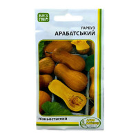 Тыква Арабатская 3 г Агро Мастер