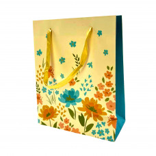 Пакет подарка. В5 (23*18*8,5см) DSCN 2958