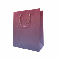 Пакет подарка. В5 (18*23*10см) DSCN 125102