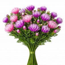 Цветы чертополоха высота 50см №20