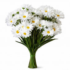 Цветы Ромашка высота 56см №30