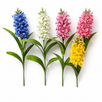 Цветы Геоцинт №34