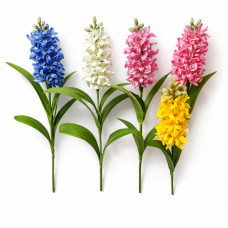 Цветы Геоцинт №34