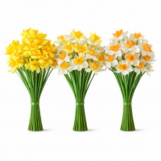 Цветы Нарцисс высота 28см №24