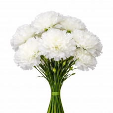 Цветы Гвоздика высота 54см №6