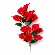 Цветы Кала бархат №37