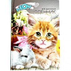 Дневник Мандарин матовый В5 40л.