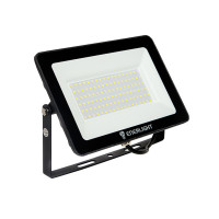 Прожектор світодіодний Enerlight MANGUST 100Вт 6500K 3090 1шт