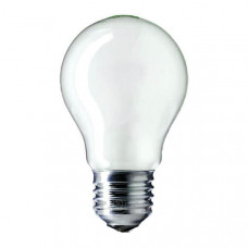Лампа PHILIPS A55 100W E27 FR звич.мат.10018498