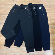 Штани спортивні чоловічі теплі 2235 М-3XL